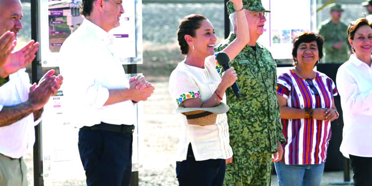 Borrador automático