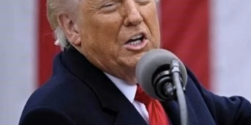 Crece turismo internacional