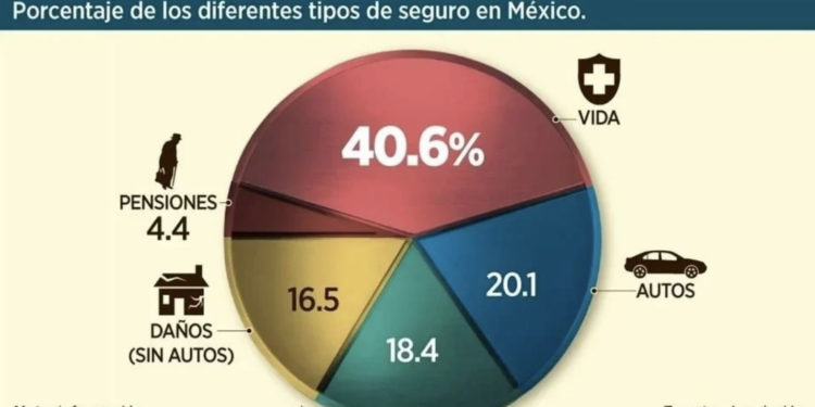 Crece turismo internacional