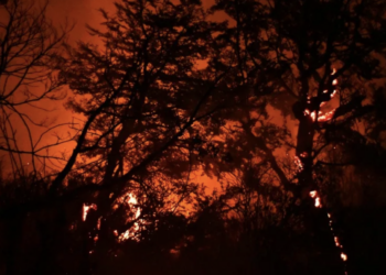 Sufre Patagonia graves incendios