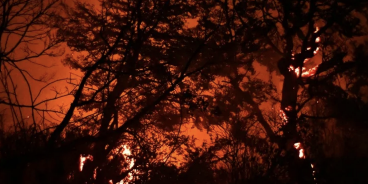 Sufre Patagonia graves incendios