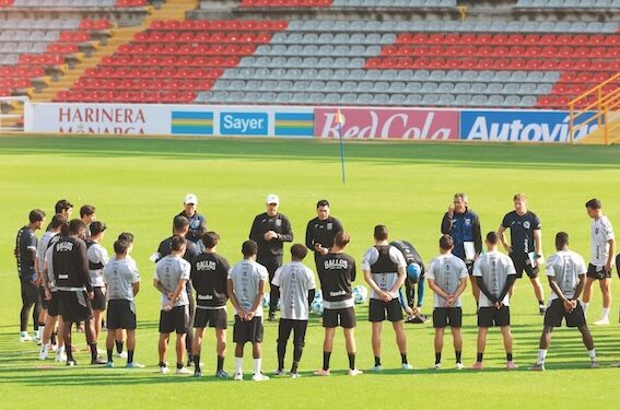 Gallos listos para el Clausura 2026