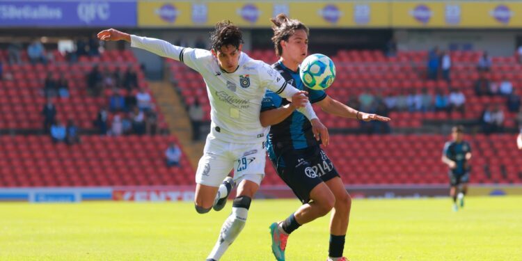 Patriots y Seattle se medirán en el Super Bowl LX