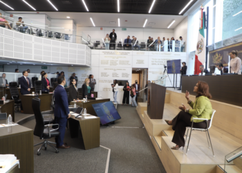 Analizarán quitar de cargos públicos a deudores alimentarios