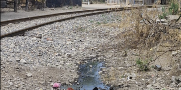 Reubicarán familias de “Cartolandia”