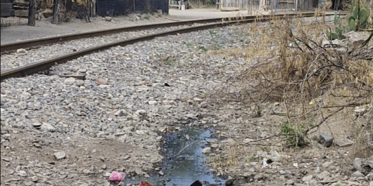 Reubicarán familias de “Cartolandia”