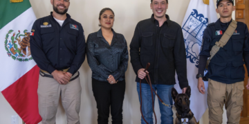 Recaudaron mil 269 millones por predial