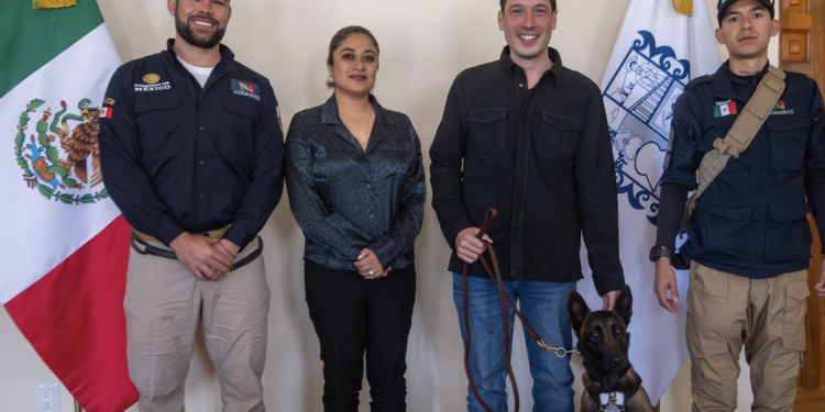 Recaudaron mil 269 millones por predial