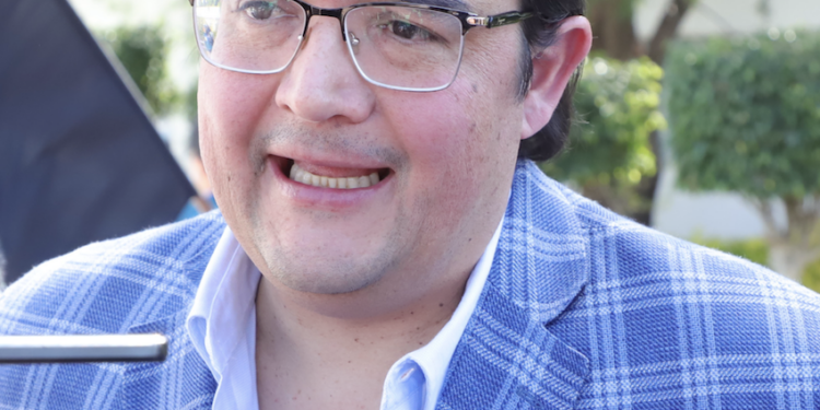 Dictamen de rechazo al aborto está en Servicios Parlamentarios, aclara