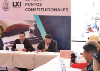 Dictamen de rechazo al aborto está en Servicios Parlamentarios, aclara