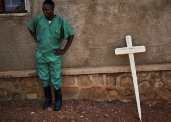 Papa León XIV visitará Perú