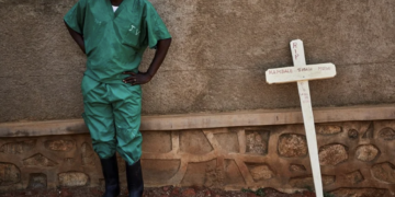 Papa León XIV visitará Perú