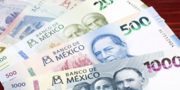 Señala asesor comercial de EU fallas significativas en T-MEC