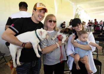 Municipio de El Marqués realizará 10 mil esterilizaciones gratuitas