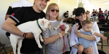 Municipio de El Marqués realizará 10 mil esterilizaciones gratuitas