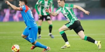 Homenchenko se perderá el duelo ante León tras ratificarse su expulsión