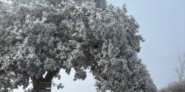 Persisten heladas  en Sierra queretana