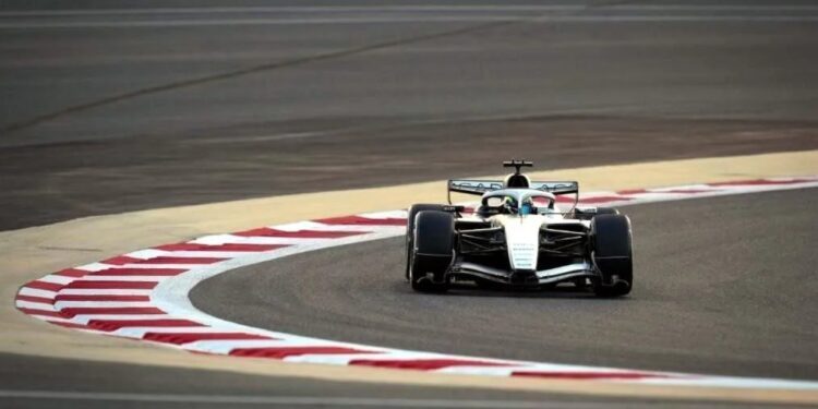 Debí tirar más fotos