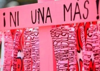 No voy a leer libro de Scherer, dice Claudia