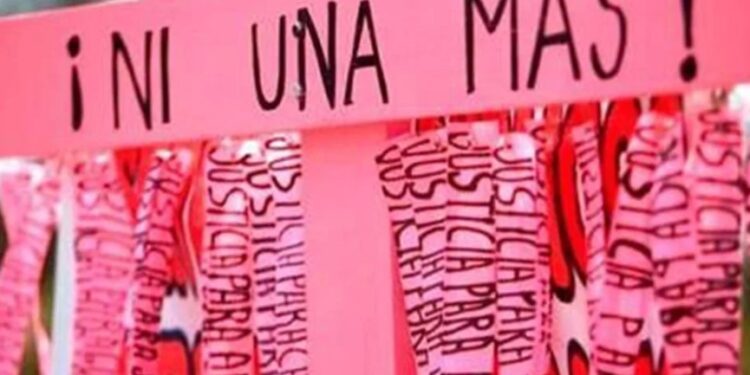 No voy a leer libro de Scherer, dice Claudia