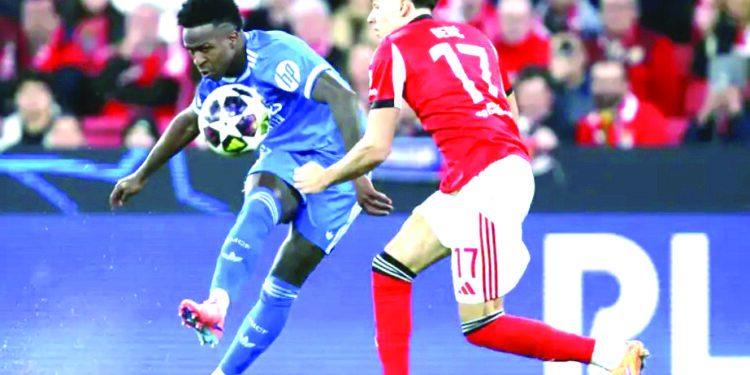 Lanzan la Copa Gallos infantil y juvenil