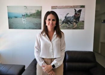 Reportan ocho carpetas de investigación de maltrato y crueldad animal sin judicializar