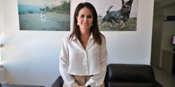 Reportan ocho carpetas de investigación de maltrato y crueldad animal sin judicializar