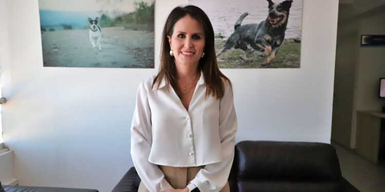 Reportan ocho carpetas de investigación de maltrato y crueldad animal sin judicializar