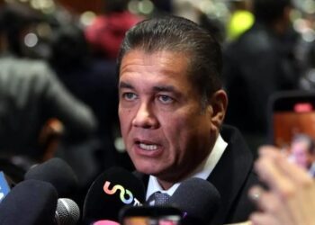 Ven en el PVEM cambio drástico con reforma electoral