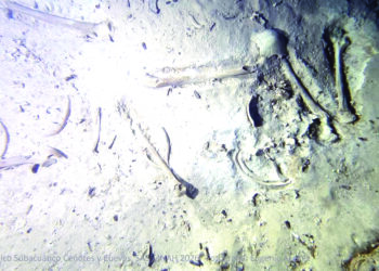 Estudian fósil humano  de al menos 8 mil años