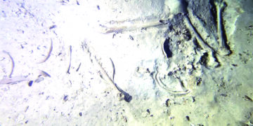 Estudian fósil humano  de al menos 8 mil años