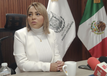 Díaz Gayou no acreditó conflicto de intereses