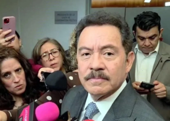 Descarta Mier fast track para Plan B en el Senado