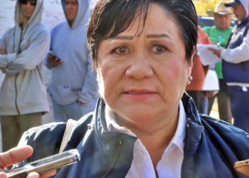 Reporta caída de 6.3% en venta de vehículos durante primer bimestre del año