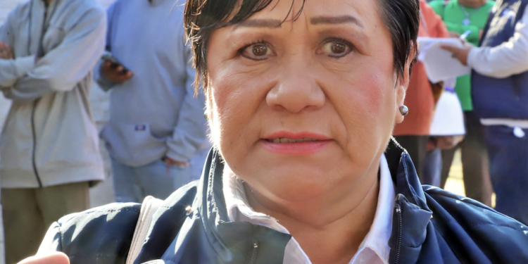 Reporta caída de 6.3% en venta de vehículos durante primer bimestre del año