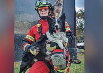 Lamenta defensa de Athos y Tango nueva sentencia; denunciarán a magistrados por corrupción