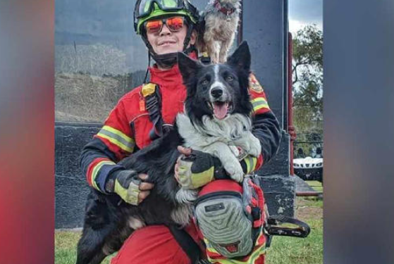 Lamenta defensa de Athos y Tango nueva sentencia; denunciarán a magistrados por corrupción