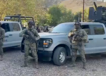 Hija del ‘Mayo’ Zambada “nunca fue detenida” tras operativo en Sinaloa: García Harfuch