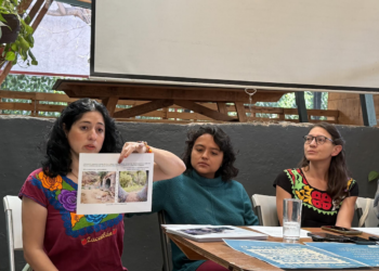 CEA avanza 60% en limpieza del bordo Benito Juárez: Ricoy