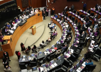 Mier afirma que se ajustó el Plan B de Reforma Electoral