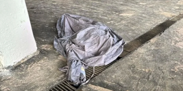 Muere aficionado por saltar de segundo piso en Estadio