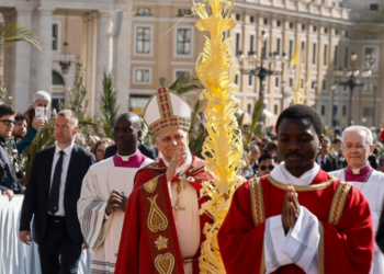 Recuerden que son hermanos: Papa León XIV pide deponer las armas