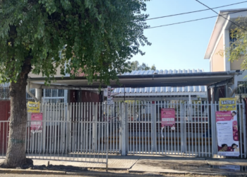 Prevén erradicar el gusano barrenador en Querétaro