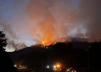 BLOQUE se renta hasta en 350 pesos por metro cuadrado