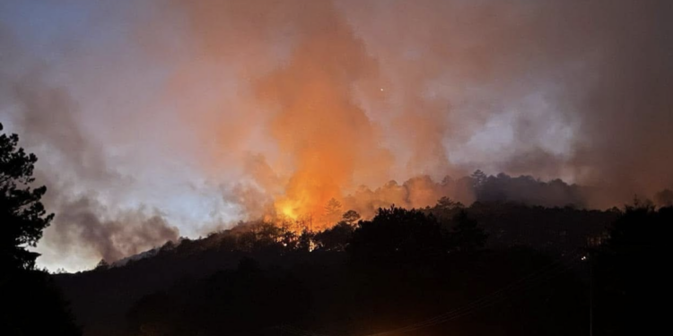 BLOQUE se renta hasta en 350 pesos por metro cuadrado