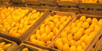 Resiste a guerra el precio del gas