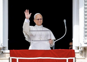 León XIV expresa solidaridad con quienes sufren formas de violencia