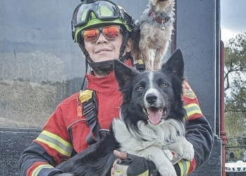 Lamenta defensa de Athos y Tango nueva sentencia