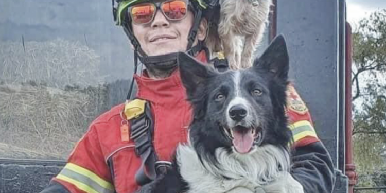 Lamenta defensa de Athos y Tango nueva sentencia