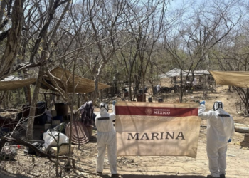 Marina neutraliza narcolaboratorio en Sinaloa